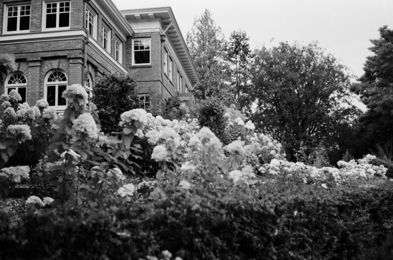 A black-and-white photo of a brick building with large windows, surrounded by bushes and blooming flowers in the foreground, and tall trees in the background.