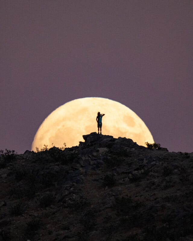 A person stands on a rocky hilltop at dusk, silhouetted against a large, bright full moon rising in the background. Sparse vegetation is visible on the hill.