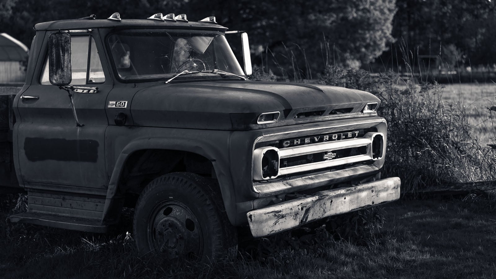 A black-and-white photo of an old, weathered Chevrolet pickup truck parked on grass next to tall weeds. The truck shows signs of rust and age, with sunlight filtering through the background.