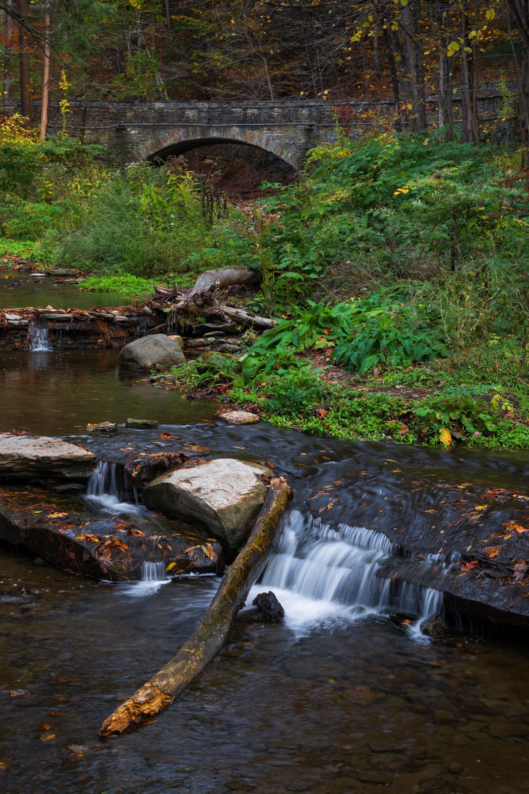 A small waterfall flows over rocks and a fallen log in a forest, with lush green plants along the stream and a stone bridge arching over the water in the background.