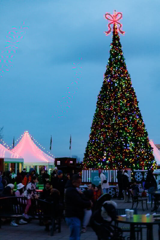 A large Christmas tree decorated with colorful lights stands beside glowing white tents at dusk. People gather around, some sitting and others walking, enjoying the festive outdoor scene.