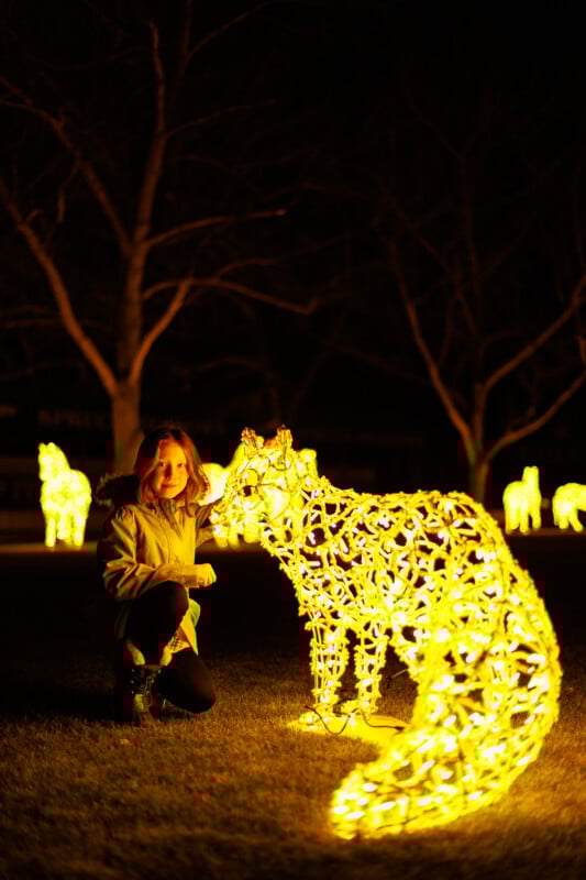 A young girl kneels and smiles beside a glowing fox-shaped light sculpture outdoors at night, with more illuminated animal figures visible in the background.
