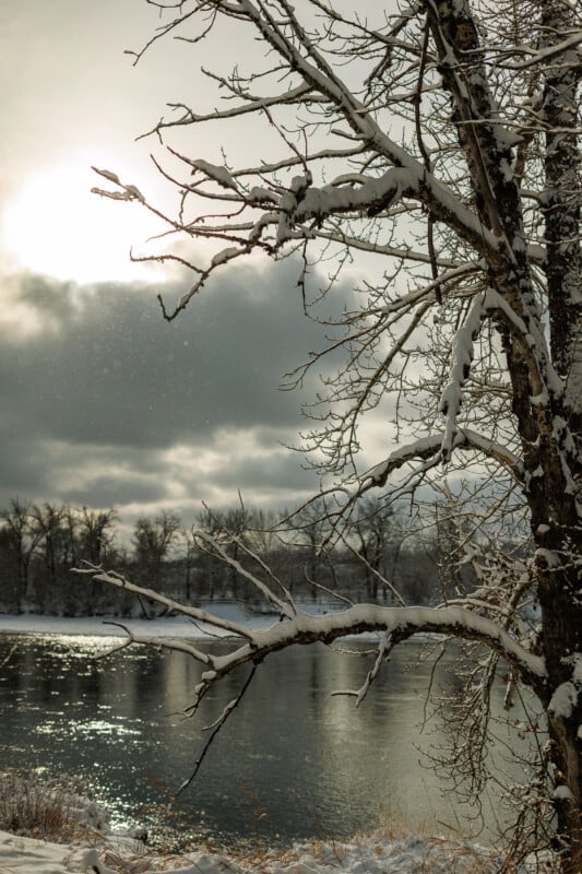 A bare tree covered in snow stands by a calm river under a cloudy, sunlit sky. The sun is partially hidden behind clouds, and snow sparkles on the tree branches and along the riverbank.