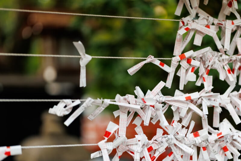 Strips of paper with writing are tied onto ropes outdoors, a common practice for omikuji fortunes at Japanese shrines, with a blurred green background.