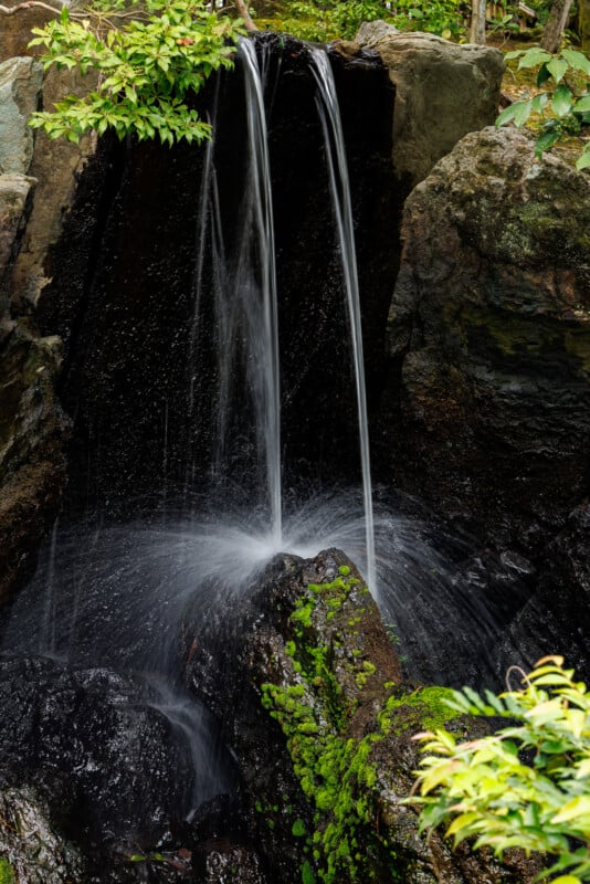 Two narrow streams of water flow from a rocky ledge into a small pool below, surrounded by green moss and leafy plants in a lush garden setting.