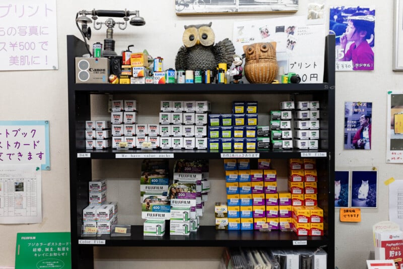 A black shelf filled with various boxes of camera film and film canisters, including Kodak and Fujifilm brands. Decorative owl figures and vintage camera equipment sit on top, surrounded by photo prints and posters on the wall.