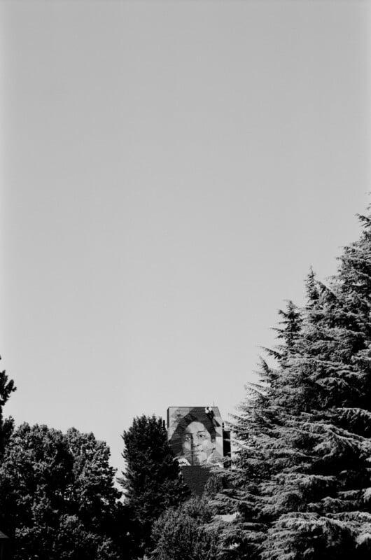 A black-and-white photo shows a mural of a woman's face partially visible above treetops, with a vast clear sky above and branches framing the scene.