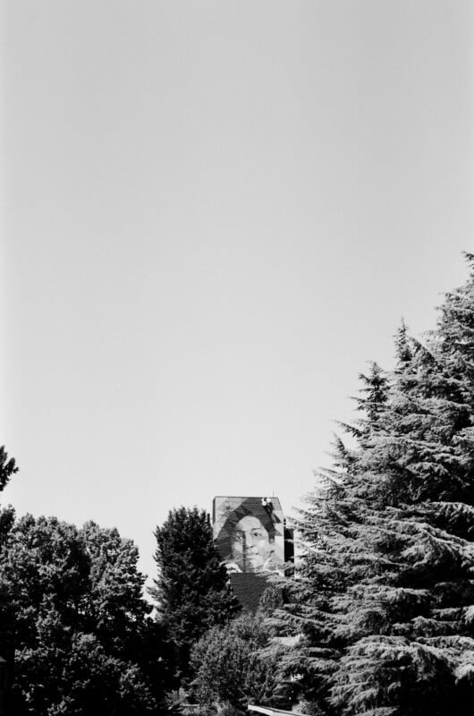 A black and white photo shows a mural of a face on a building partially hidden behind tall trees, with a clear sky overhead.