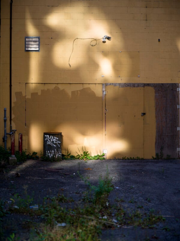 A sunlit section of a yellowish wall with a boarded-up door and a small vent. Graffiti covers a metal box on the ground, surrounded by weeds and cracked pavement. Shadows of tree leaves are cast across the wall.