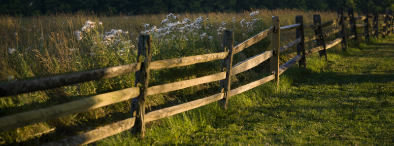 A rustic wooden fence runs alongside a sunlit grassy path, with wildflowers and tall grass growing in a field beyond the fence; soft sunlight casts long shadows across the scene.