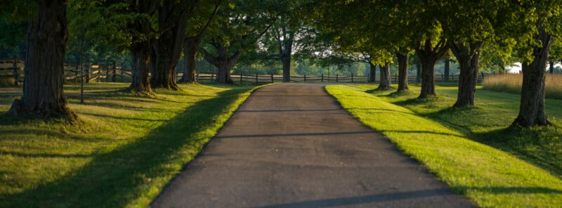 A paved path curves through a grassy area lined with mature trees casting long shadows. Wooden fences run along both sides, and sunlight filters through the green foliage, creating a peaceful, inviting scene.