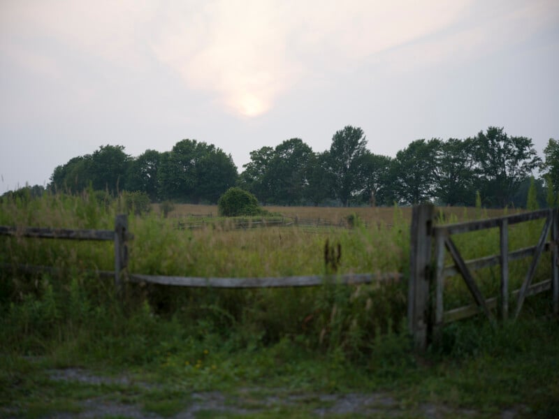 A wooden fence surrounds a grassy field with tall vegetation, set against a backdrop of trees under a cloudy sky at sunset. The scene appears peaceful and rural.