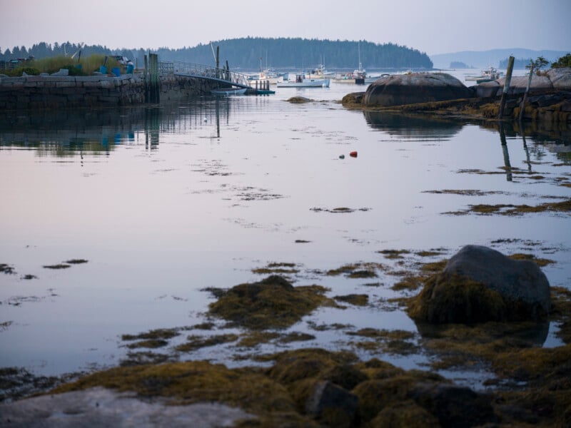 A calm coastal inlet with seaweed-covered rocks in the foreground, small boats moored in the water, and a tree-covered shoreline in the background under a hazy sky.