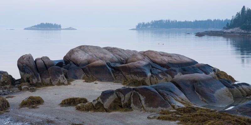 Large, smooth rocks covered with seaweed sit on a sandy shore beside calm water. Evergreen trees line distant islands under a hazy, pale blue sky, creating a peaceful coastal scene.