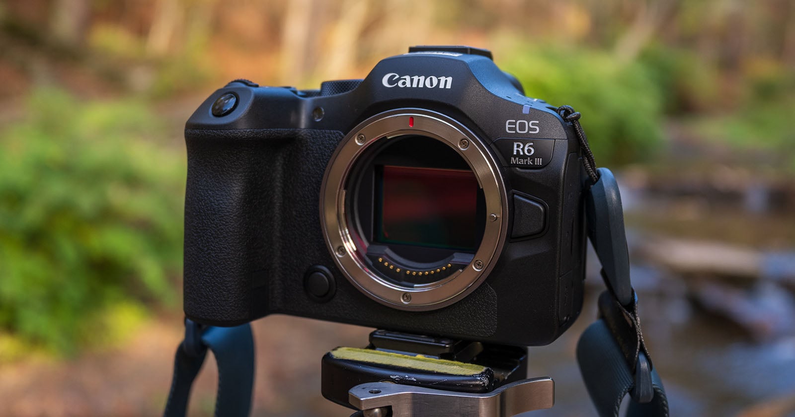 A Canon EOS R6 Mark III mirrorless camera, with no lens attached, is mounted on a tripod outdoors with greenery and a stream blurred in the background.