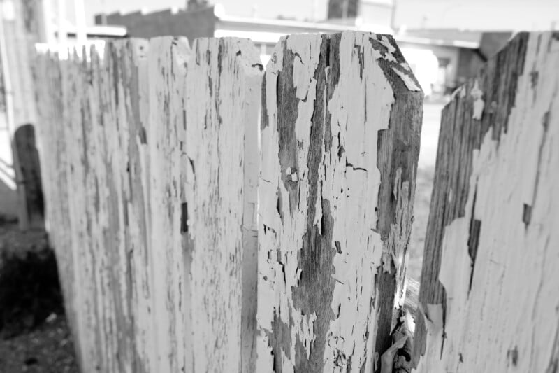 Close-up of a weathered wooden fence with peeling white paint, set outdoors in bright sunlight. Blurred buildings and structures are visible in the background. The image is in black and white.