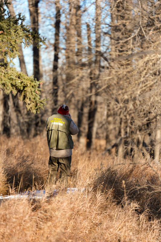 A person in a green vest and red hat stands in dry, tall grass, facing leafless trees in a sunlit forest, holding binoculars to their face, possibly birdwatching or observing wildlife.