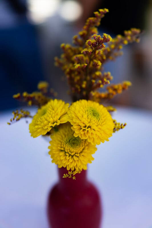 A small bouquet of bright yellow flowers and delicate yellow sprigs arranged in a matte red vase, set against a blurred background.