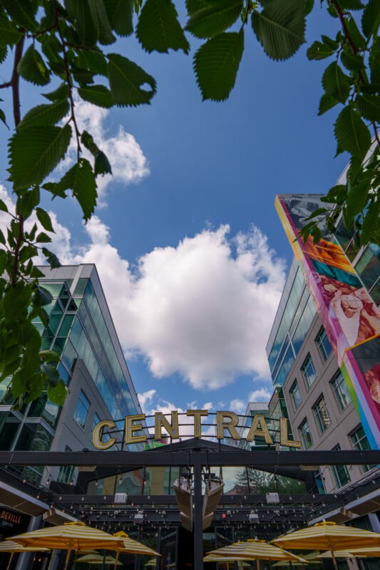 View looking up at a blue sky with clouds, framed by leafy branches, two modern buildings, and a large yellow "CENTRAL" sign above an outdoor area.