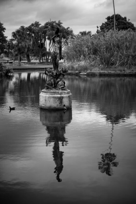 A black and white photo of a statue on a pedestal in the middle of a pond, surrounded by trees and tall grass, with birds perched on the statue and reflected in the water.