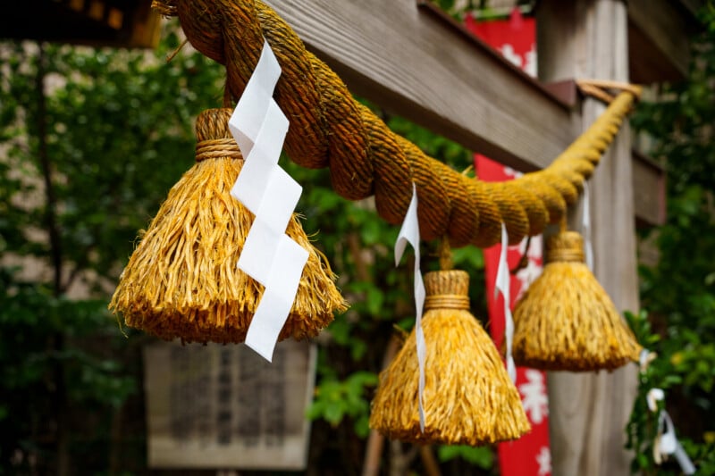 A close-up of shimenawa, a thick rice straw rope with hanging tassels and white zigzag paper strips (shide), at a Japanese shrine, with greenery and a wooden sign in the blurred background.
