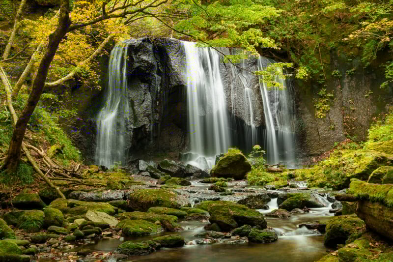 A gentle waterfall cascades over dark rocks into a mossy, rocky stream surrounded by lush green and yellow foliage in a serene forest setting.
