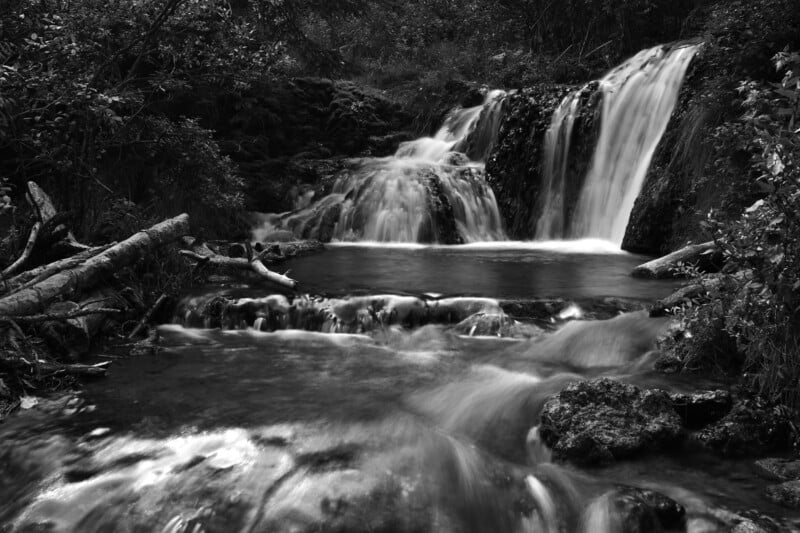 A black and white photo of a small waterfall cascading over rocks into a calm pool, surrounded by lush vegetation and fallen branches. The water appears silky due to a long exposure.