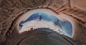 A diver underwater is viewed from inside a massive shark’s open mouth, showing sharp teeth and the shark’s jaw framing the diver and another shark swimming nearby.