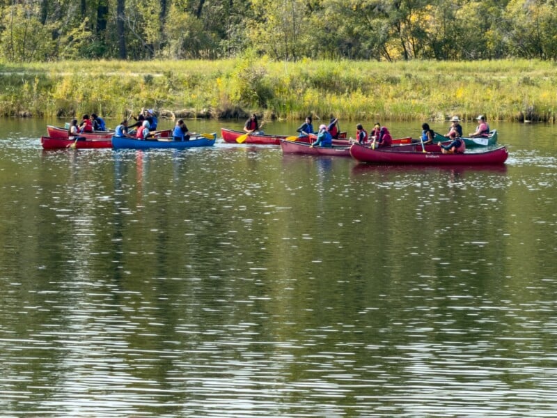 A group of people wearing life jackets paddle canoes together on a calm lake, surrounded by green trees and grassy shoreline.