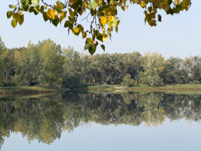 A calm lake reflects green and yellow trees along the shore, with leafy branches hanging down from the top of the image and a clear sky above.