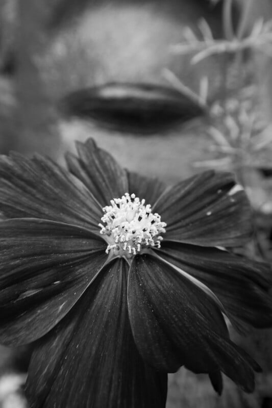 A close-up black and white photo of a flower with detailed petals and stamens in focus, with blurred lips and part of a face in the background.