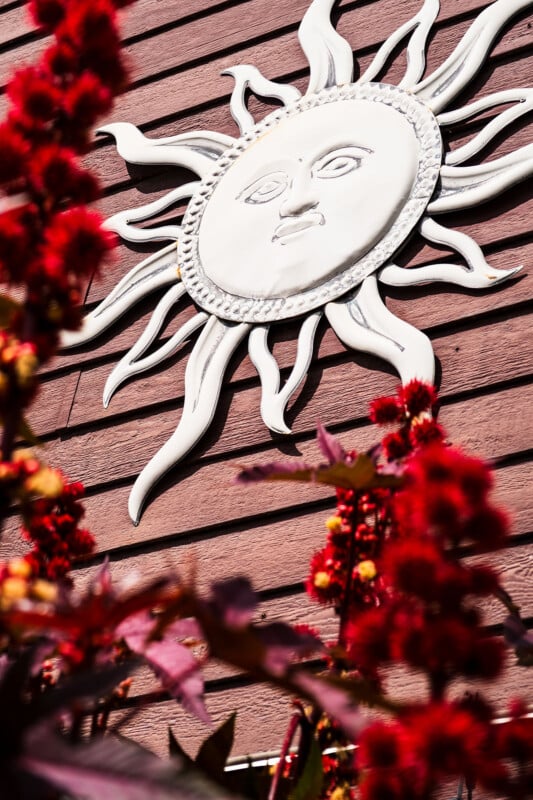 A decorative white sun face sculpture is mounted on a wooden wall, seen through red flowers in the foreground. The sun has a serene expression and wavy rays extending outward.