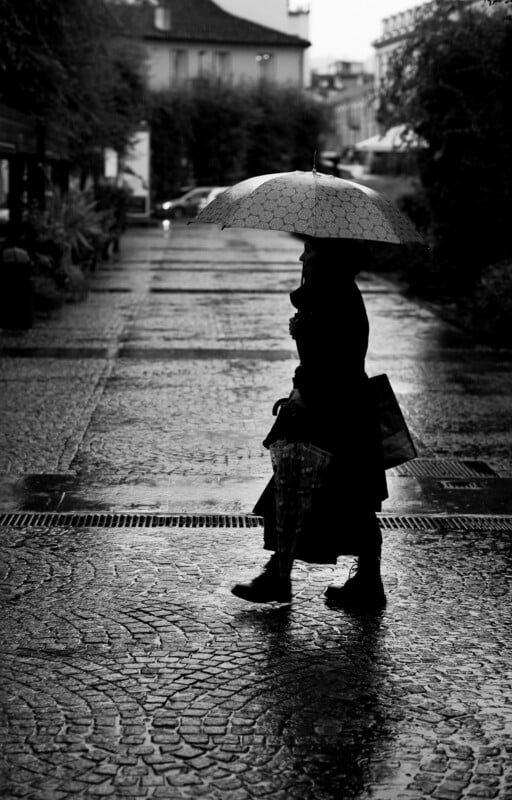 A person holding an umbrella walks on a wet cobblestone street in the rain. The scene is in black and white, and the silhouette contrasts with the bright, reflective ground. Buildings and trees line the street in the background.