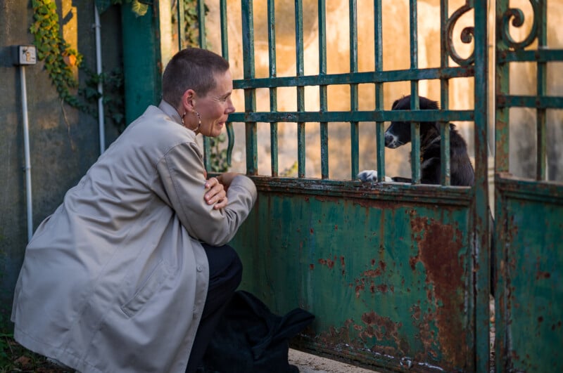 A person in a light coat crouches and smiles at a black and white dog behind a rusty green metal gate, while the dog rests its paws on the gate and looks back.