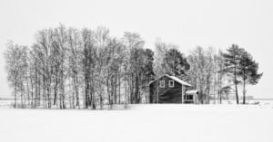 A small dark wooden house sits beside a cluster of leafless trees in a snowy, open landscape under an overcast sky. The scene is serene and monochromatic, evoking a quiet winter day.