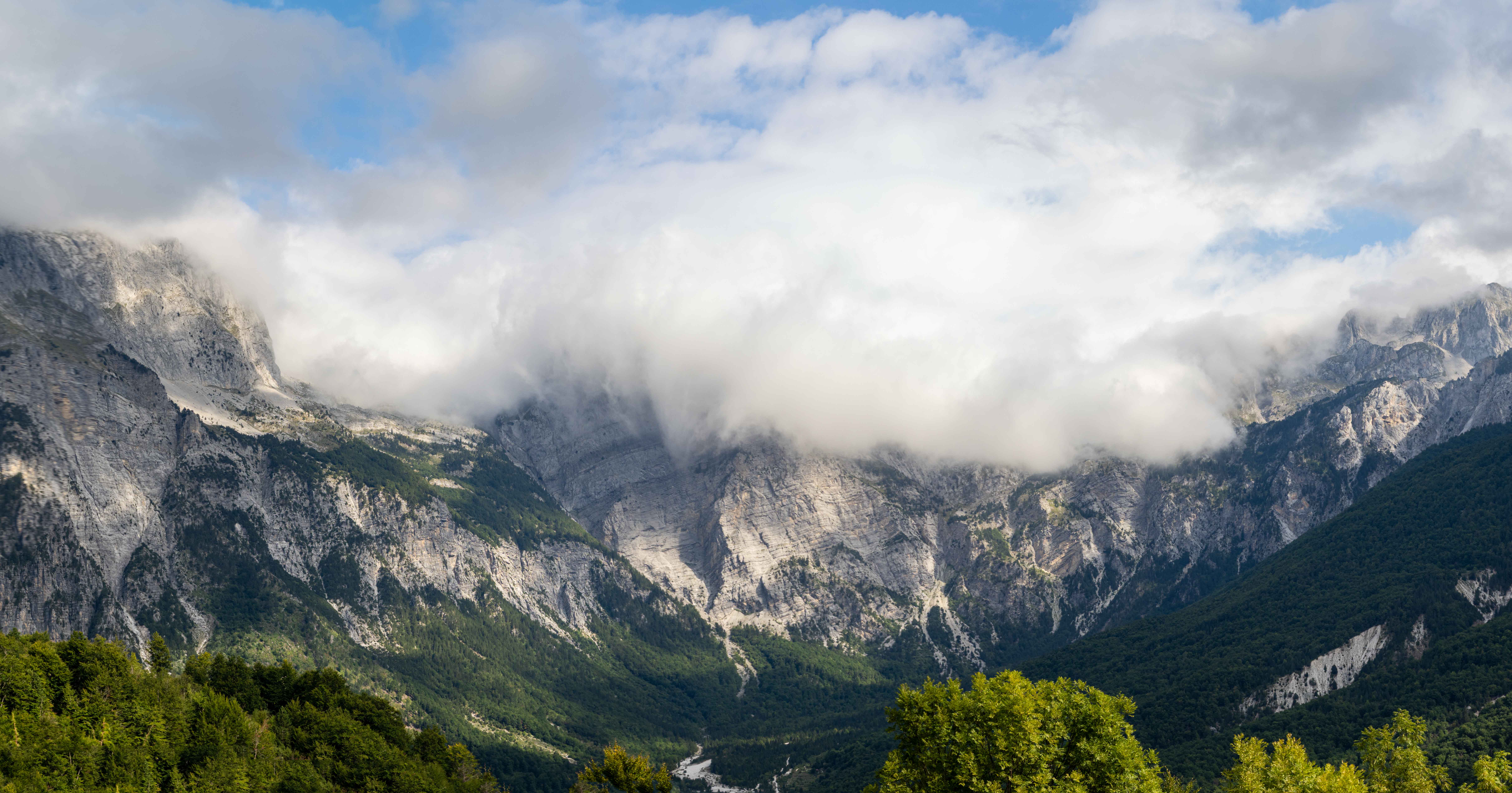 A panoramic view of rugged, rocky mountains partially covered by low-hanging clouds, with a lush green forest in the foreground under a bright blue sky.
