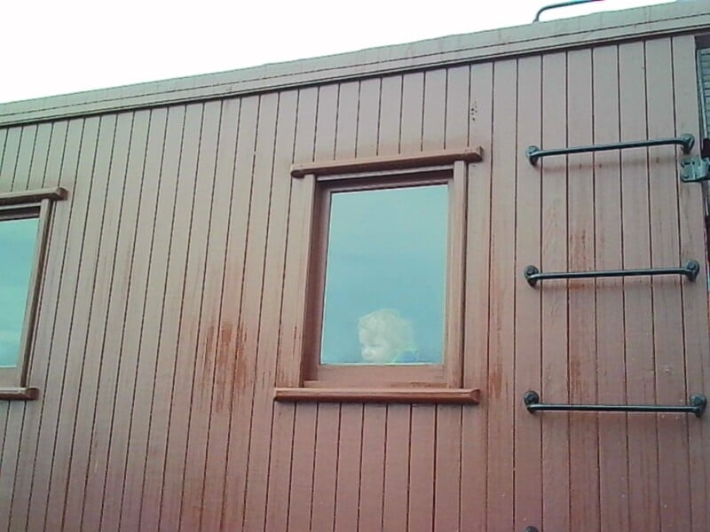 A child with blond hair looks out of a window from inside a wooden train car, with a metal ladder attached to the exterior wall.