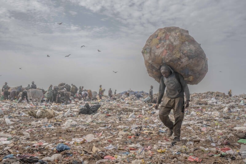 A person carries a large bag of plastic waste on their back while walking through a landfill filled with trash; others are seen scavenging in the background under a cloudy sky with birds flying overhead.