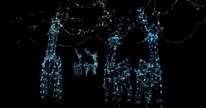 Four illuminated reindeer sculptures made of white holiday lights stand in the dark, with strings of small lights hanging above them, creating a festive nighttime scene.