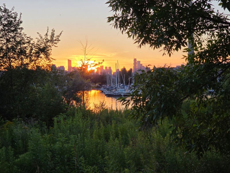 A vibrant sunset over a marina with sailboats, framed by lush green trees and bushes, with a city skyline visible in the background.