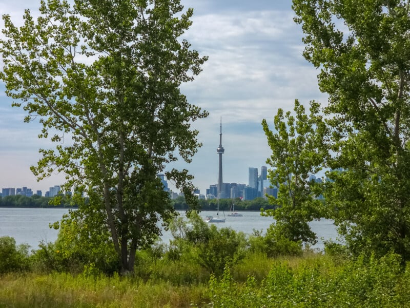 A view of the Toronto skyline, including the CN Tower, framed by green trees and bushes, with a sailboat on the water under a partly cloudy sky.