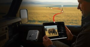 A person in a car uses a tablet showing a photo of bison in a field. The tablet connects wirelessly to a camera outside, with a device nearby enabling the connection. Distant animals and open grasslands are visible.