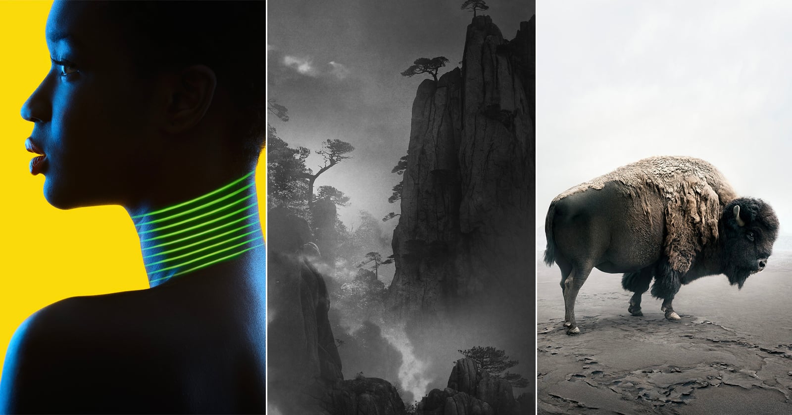 The Winning Photos from the Hasselblad Masters 2021 Competition