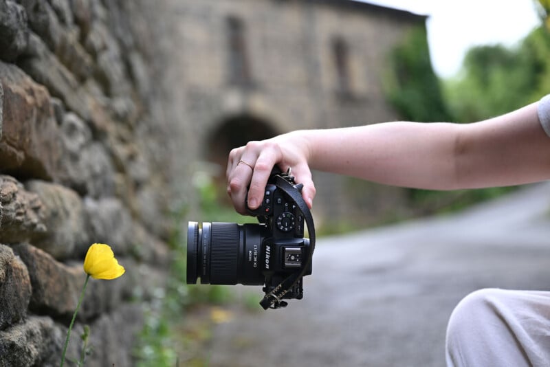 A person holds a camera close to a single yellow flower growing by a stone wall, preparing to take a photo on a quiet, blurred outdoor path.